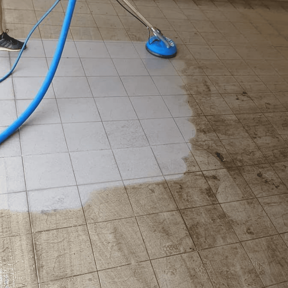 Seaside Carpet & Pest Solutions Tile & Carpet Cleaning and Pest