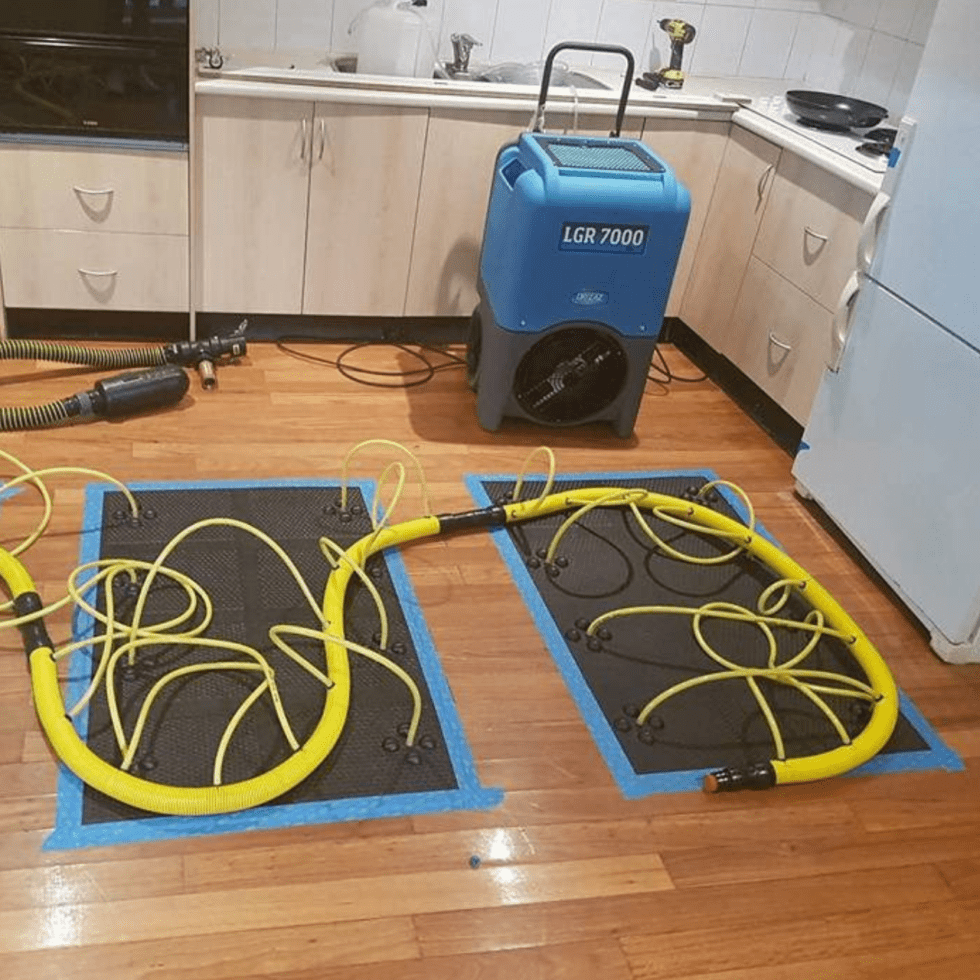 Seaside Carpet & Pest Solutions Tile & Carpet Cleaning and Pest