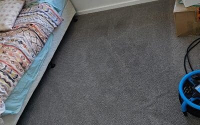 Paint Spill Carpet Rescue in Port Macquarie