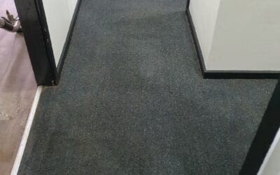 Professional Carpet Cleaning Port Macquarie