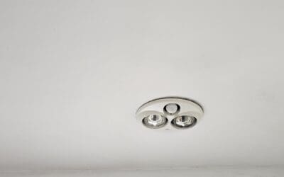 Professional Mould Remediation in Port Macquarie