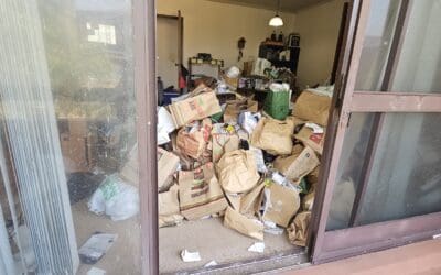 Seaside’s Extreme Clean in Port Macquarie